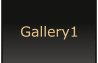 Gallery1