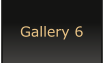 Gallery 6