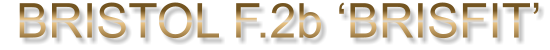 BRISTOL F.2b ‘BRISFIT’