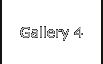Gallery 4