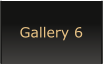 Gallery 6