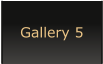 Gallery 5