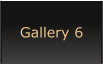 Gallery 6