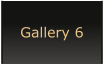 Gallery 6