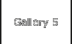 Gallery 5