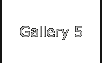Gallery 5