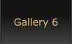 Gallery 6