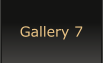 Gallery 7