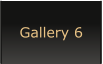 Gallery 6