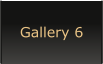 Gallery 6