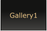 Gallery1