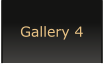 Gallery 4