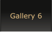 Gallery 6