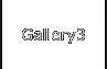 Gallery3