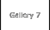 Gallery 7