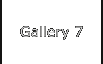 Gallery 7