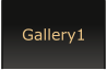 Gallery1