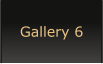 Gallery 6