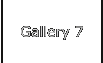 Gallery 7