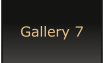 Gallery 7