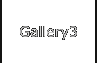 Gallery3