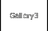 Gallery3