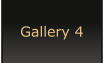 Gallery 4