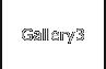 Gallery3