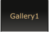 Gallery1