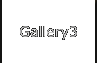 Gallery3