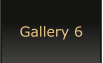 Gallery 6
