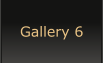 Gallery 6