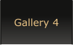 Gallery 4