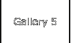 Gallery 5