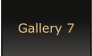 Gallery 7