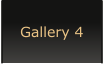 Gallery 4