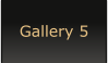 Gallery 5