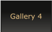 Gallery 4