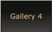 Gallery 4