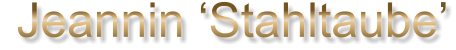 Jeannin ‘Stahltaube’