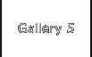 Gallery 5