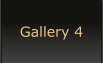 Gallery 4