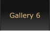 Gallery 6