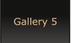 Gallery 5