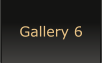 Gallery 6