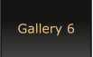 Gallery 6
