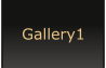 Gallery1