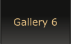 Gallery 6