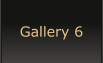 Gallery 6