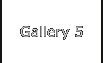 Gallery 5